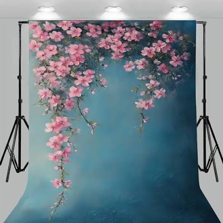 Backdrop rental in Studio and production setup category
